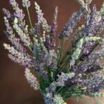 a close-up of some flowers